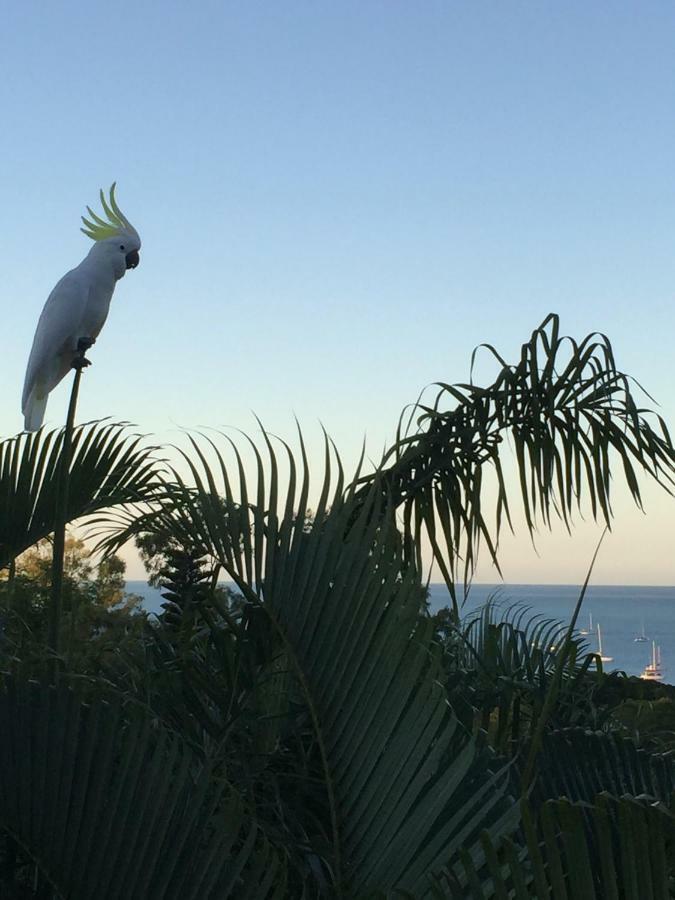 Island Views Bed & Breakfast Airlie Beach Exterior foto
