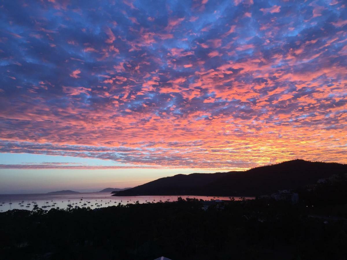 Island Views Bed & Breakfast Airlie Beach Exterior foto